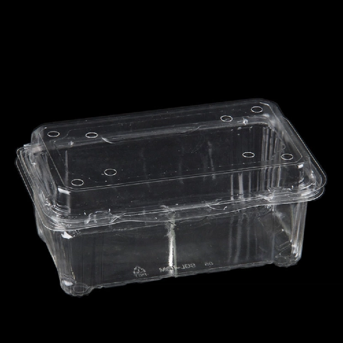 The Materials Behind High-Quality Transparent Fruit Boxes