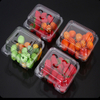Long term and sustainable preservation boxes for packaging fruits plastic containers with lids