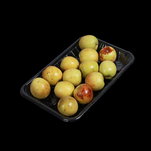 Environmental Impact And Sustainability of Trey Plastic