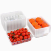 Direct contact with food stability economy transparent fruit delivery novelty packaging box for food