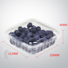 Disposable PET transparent fruit box 125g supermarket blueberry box Plastic fresh-cut vegetable and fruit box