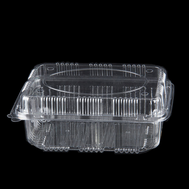 Long term and sustainable preservation boxes for packaging fruits plastic containers with lids