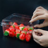 Transparent Plastic PET Fruit Box Food Disposable Packaged Fruit Container 