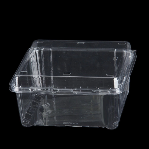 How Transparent Fruit Boxes Protect Fruits During Transport