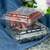 Transparent plastic fruit box for blueberries, raspberries, and grapes