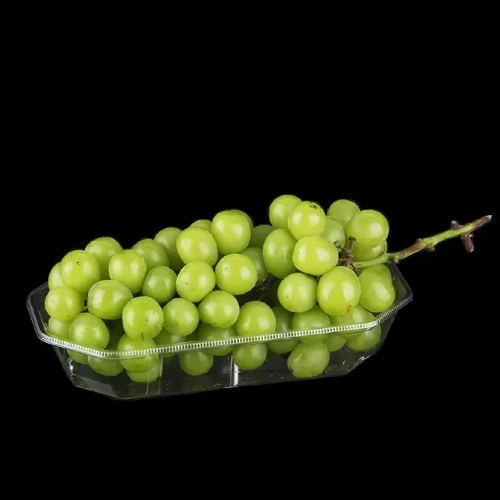 What Is A Plastic Tray?