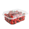 Factory Custom Degradable PET Fruit Box With Holes Transparent Box Fresh Keeping Box