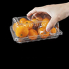 Recyclable PET Transparent Clear Plastic Rectangle Fruit Box Food Packaging