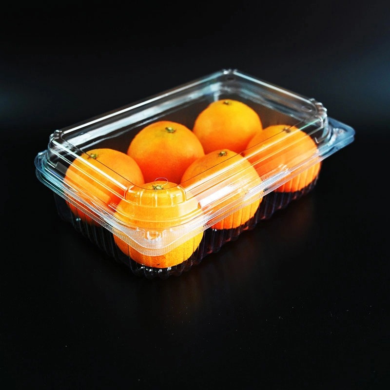 transparent food packaging box