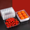 Recyclable transparent fresh fruit and vegetables pet tray plastic blister inner tray packaging box