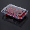 Disposable Blueberry Box Recyclable PET Transparent Fruit Box With Non-porous Packaging Boxes