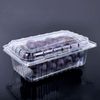 Recyclable PET Transparent Fruit Box For Packing Disposable Food Plastic Containers