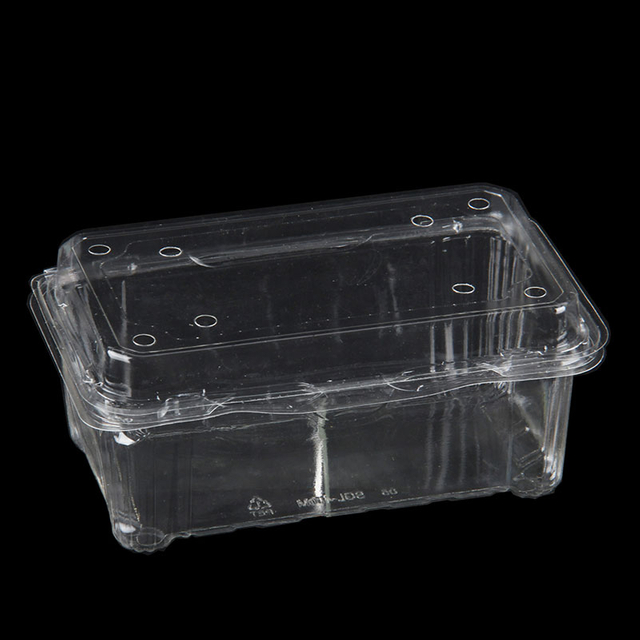 Transparent Eco-Friendly PET Fruit Box With Lid Box Fruit Packaged Disposable Container Plastic 