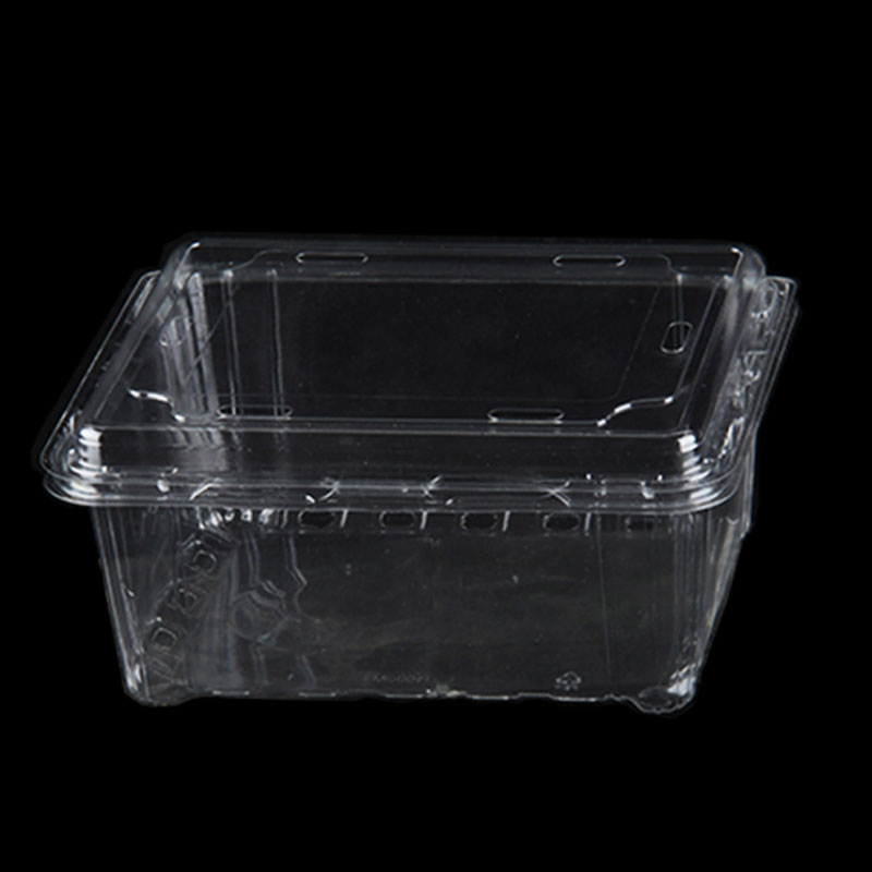 High Quality PET Disposable Fruit Box Plastic Box Packaging Transparent Food Containers