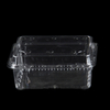 Disposable Blister Fruit Box With Clamshell Transparent Vegetable Food Container Pack 