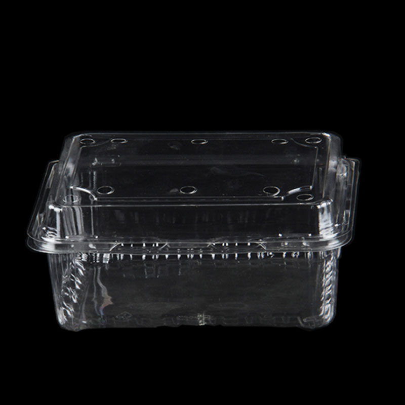 How Do Clamshell Fruit Boxes Protect Berries During Delivery?