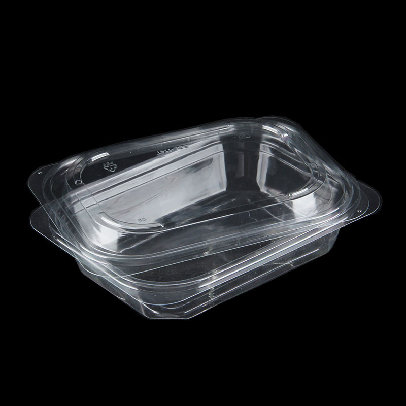 Premium dry fruit container and packaging solutions for retail snacks