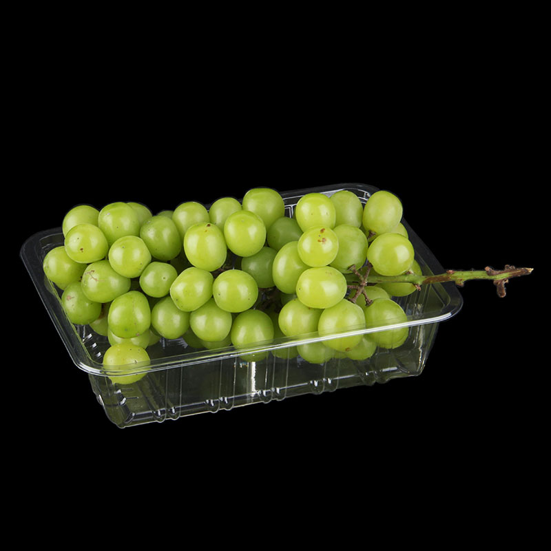 Plastic Food Delivery Packaging Material Showdown
